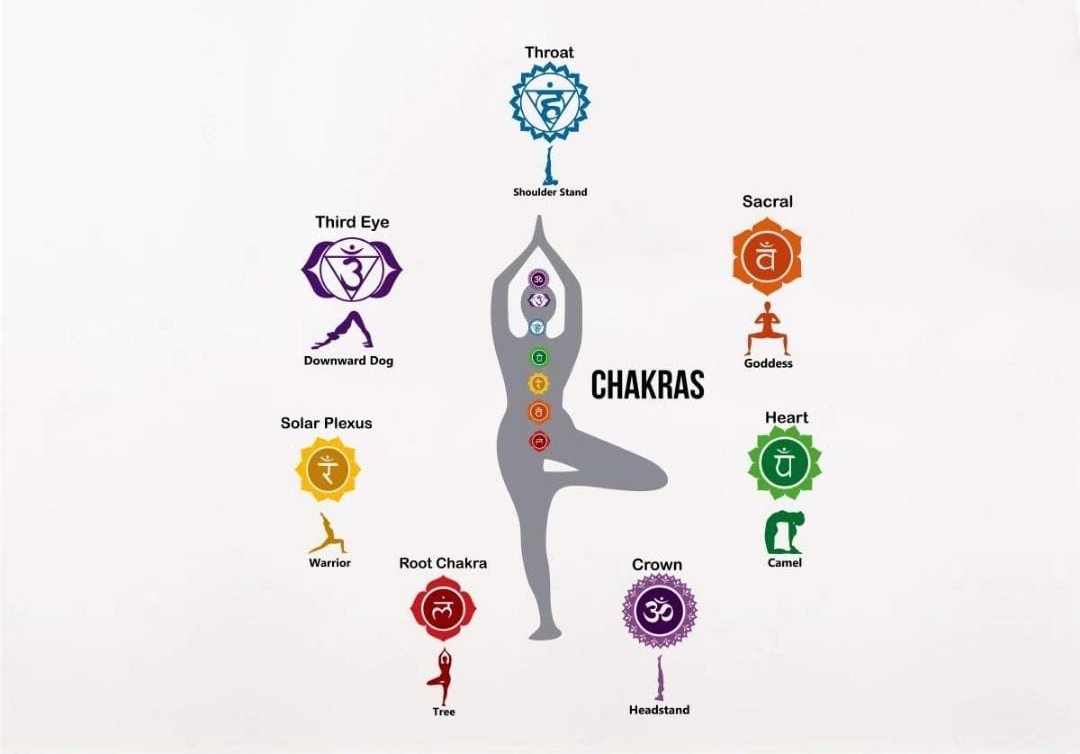 Physiotherapy Treatment